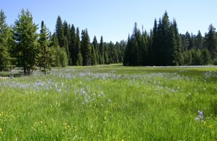 Featured Properties